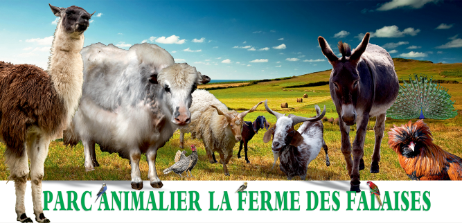 ferme_falaise.png